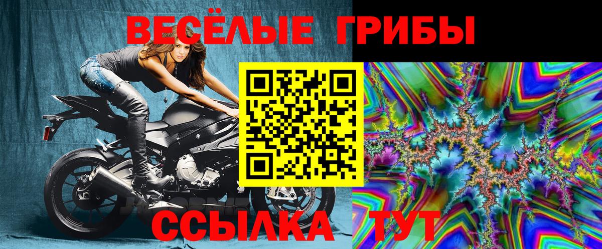 Новочеркасск  Галлюциногенные грибы Psilocybine cubensis  Вход с VPN 